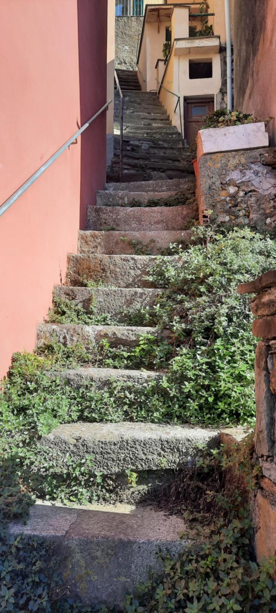 Olimpo Affittacamere Manarola Exterior photo